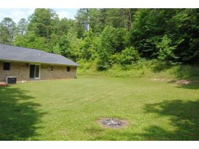 983 Flatwoods Road Bluff City, TN 37618 - Photo 21 of 24 BACK YARD