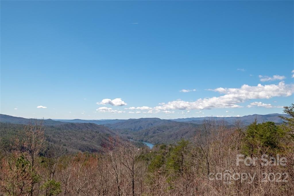 425 Arrowhead Ridge Road Brevard, NC 28712 - Photo 17 of 35 Gallery Image 17