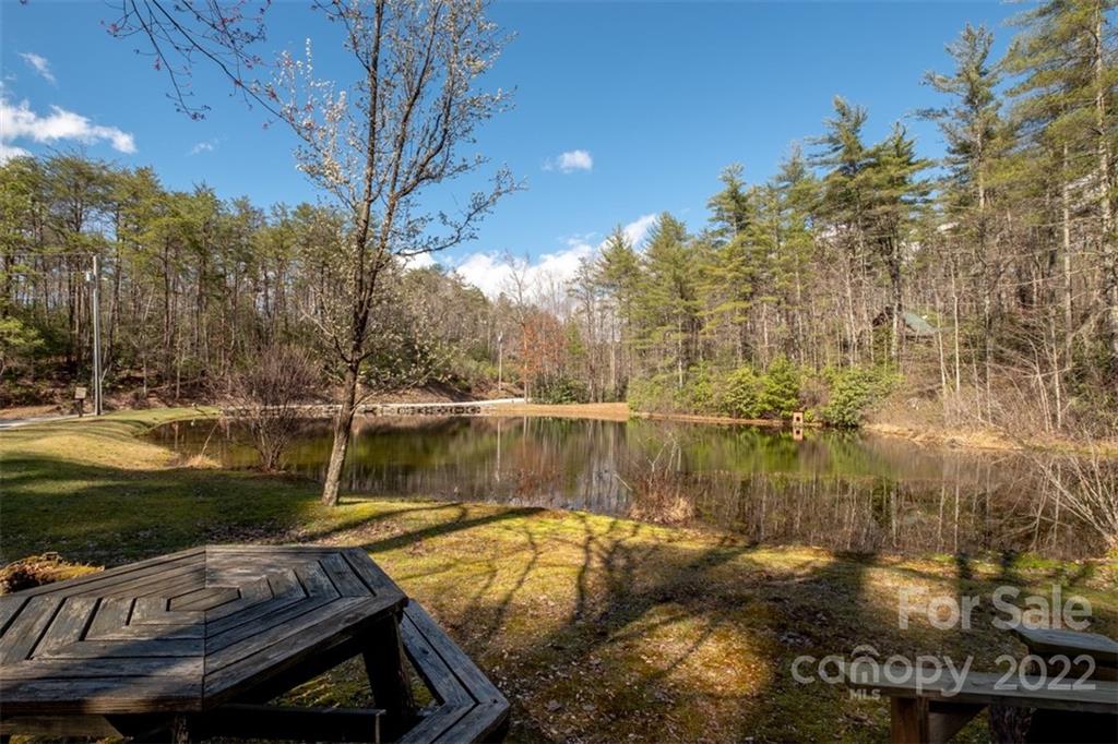 425 Arrowhead Ridge Road Brevard, NC 28712 - Photo 32 of 35 Gallery Image 32