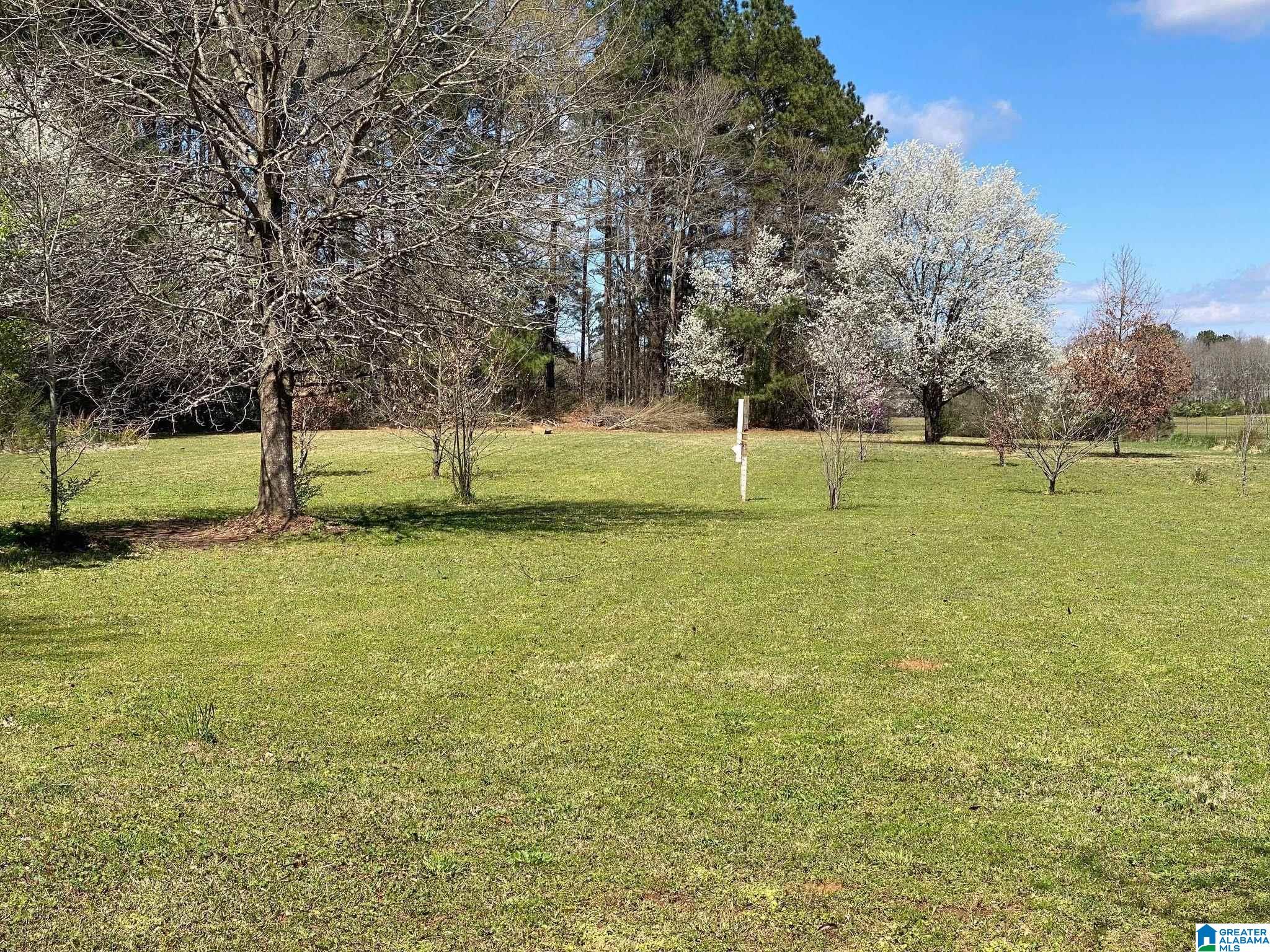 2160 Tanyard Road Harpersville, AL 35078 - Photo 11 of 36