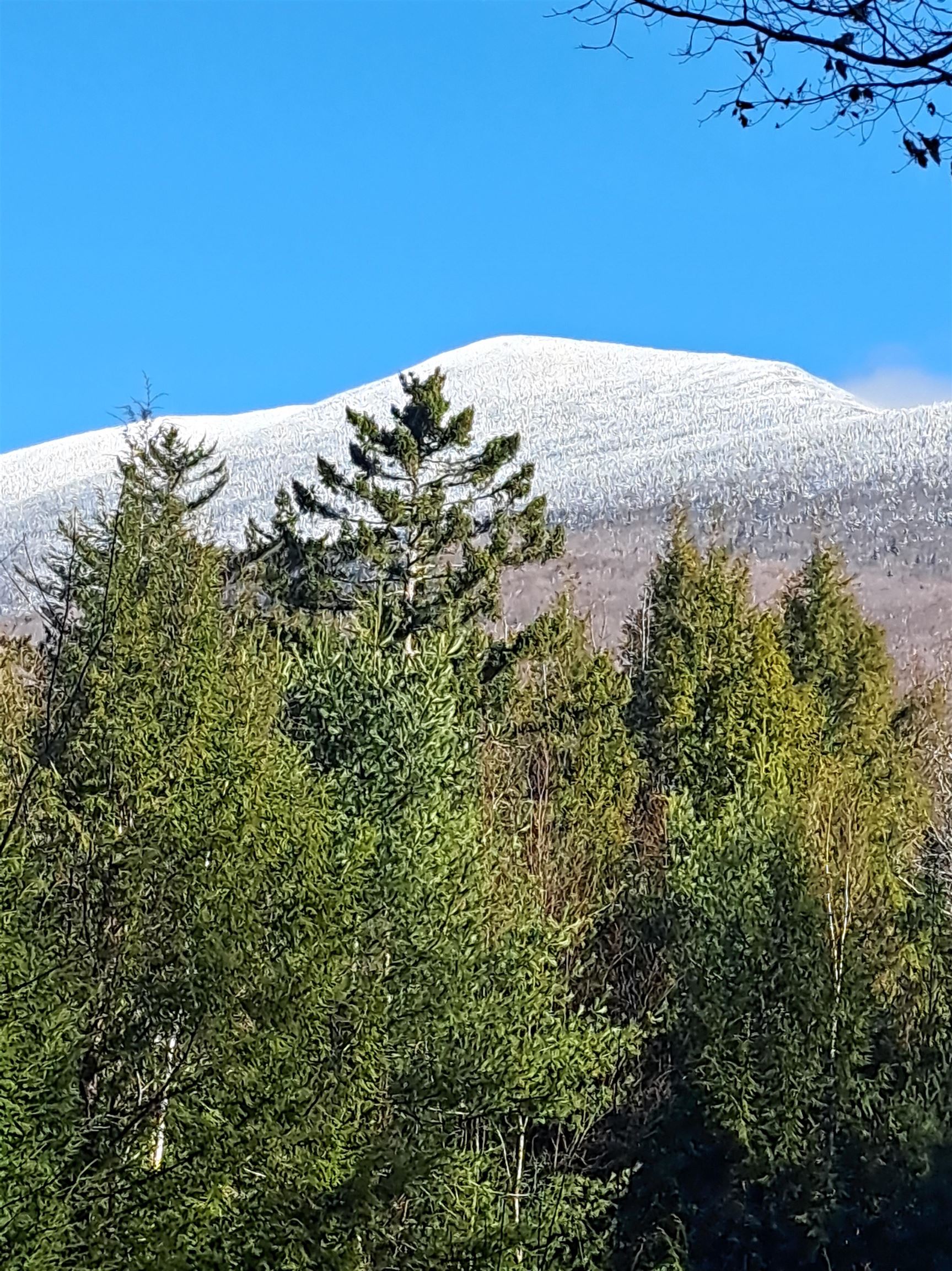 0 Stimson Road Warren, NH 03279 - Photo 1 of 17