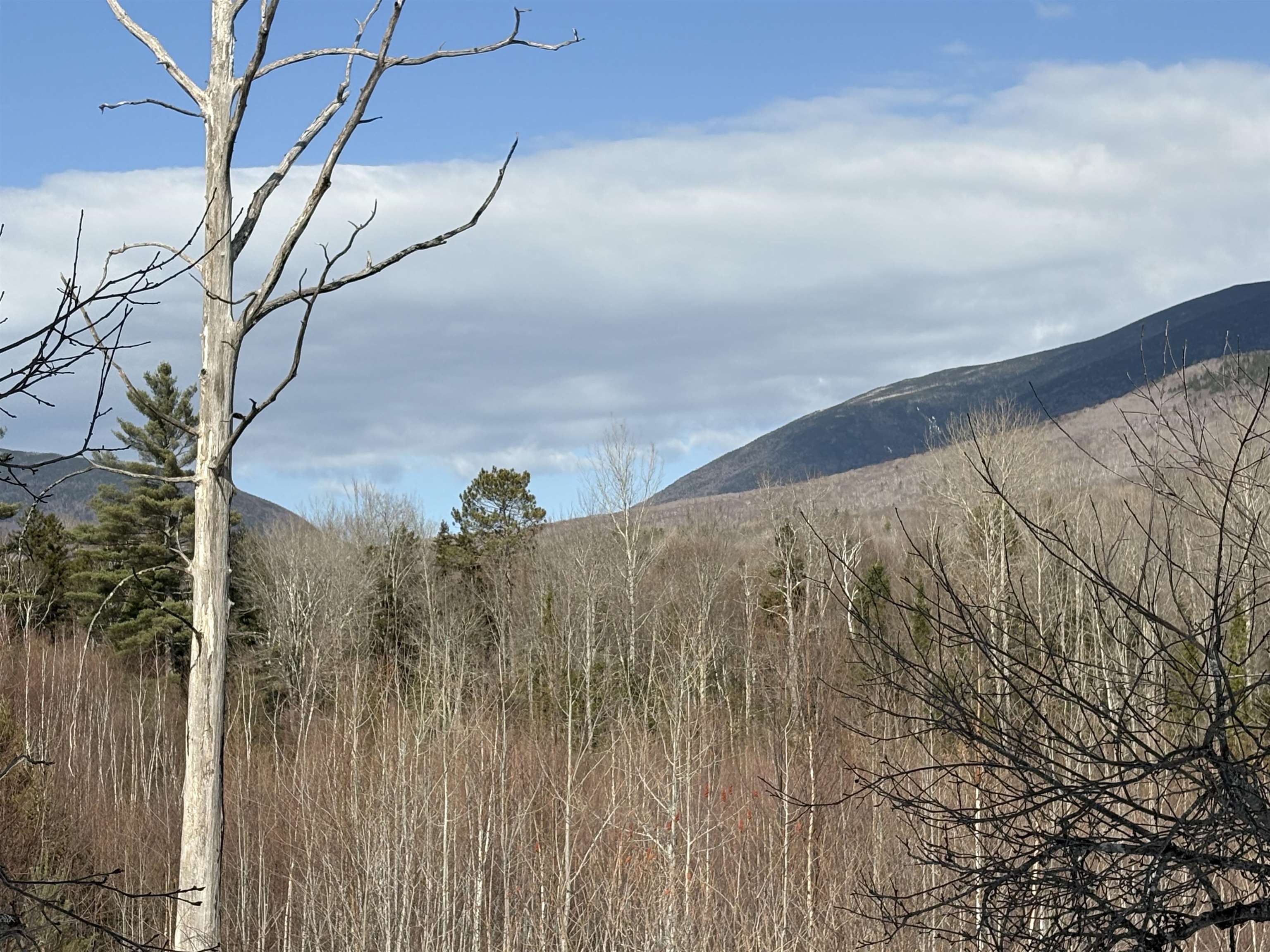 0 Stimson Road Warren, NH 03279 - Photo 11 of 17