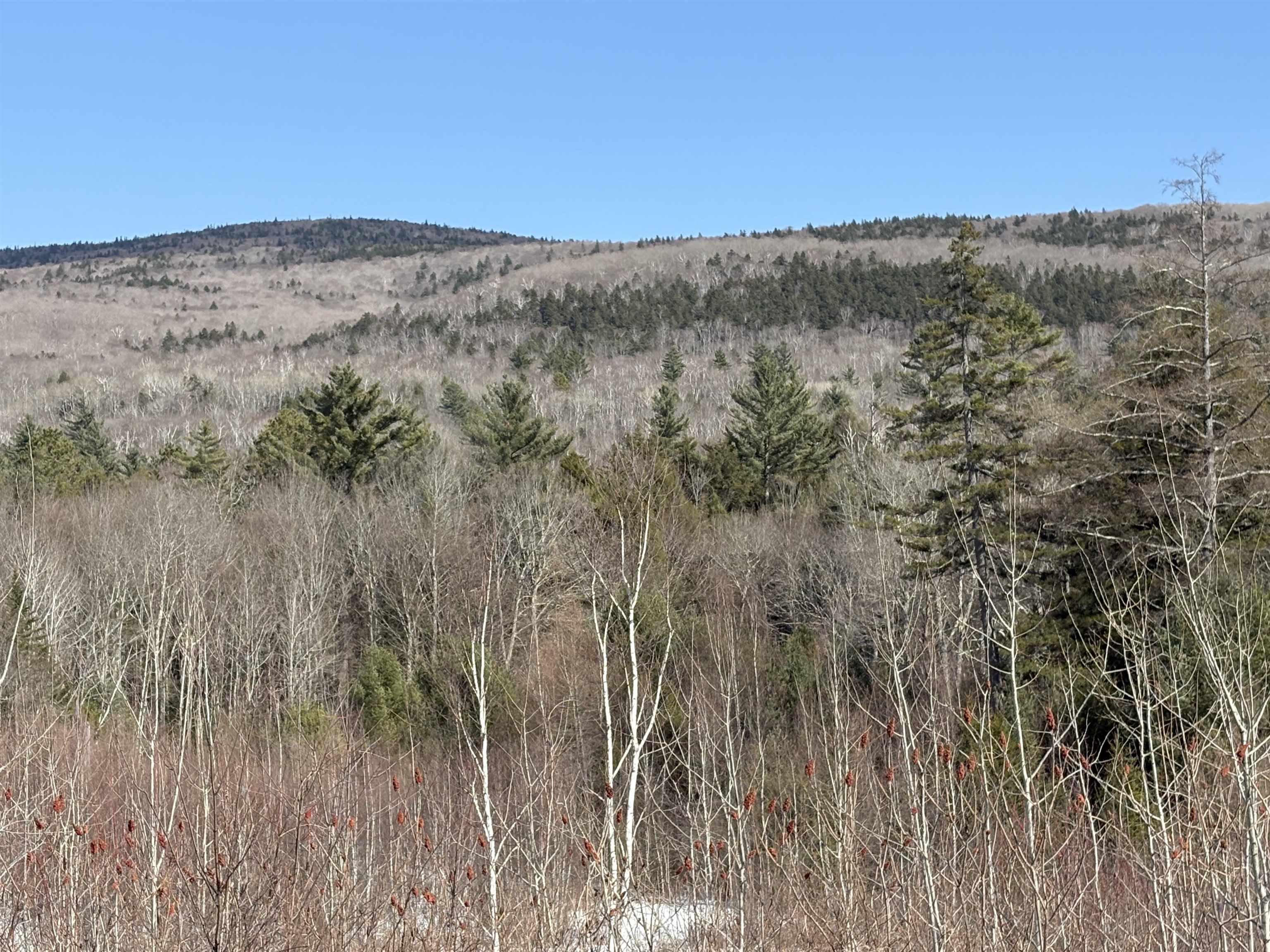 0 Stimson Road Warren, NH 03279 - Photo 13 of 17