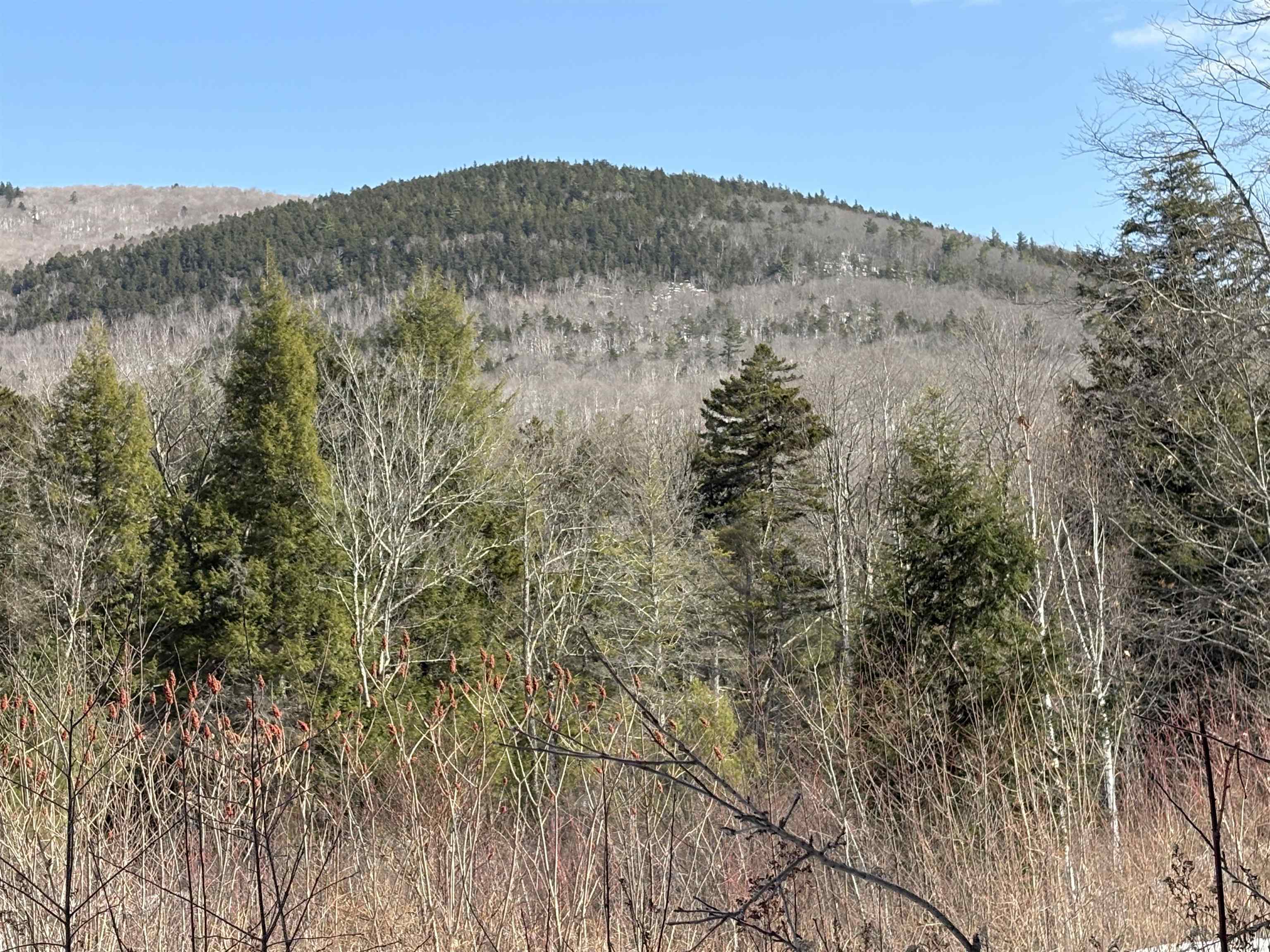 0 Stimson Road Warren, NH 03279 - Photo 14 of 17