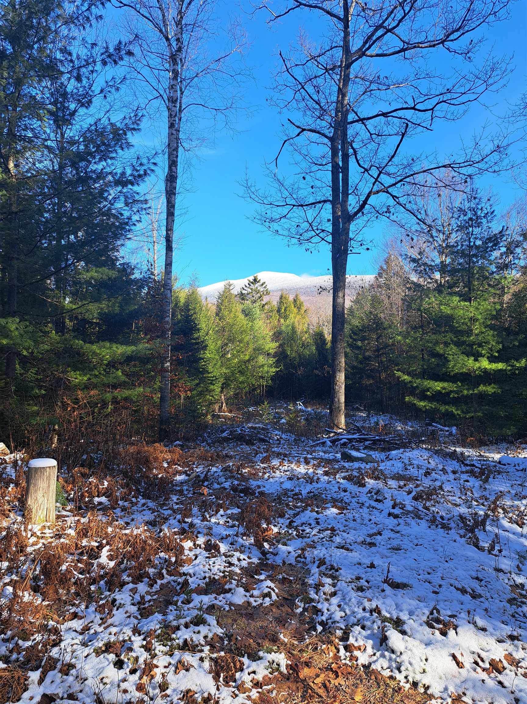 0 Stimson Road Warren, NH 03279 - Photo 2 of 17