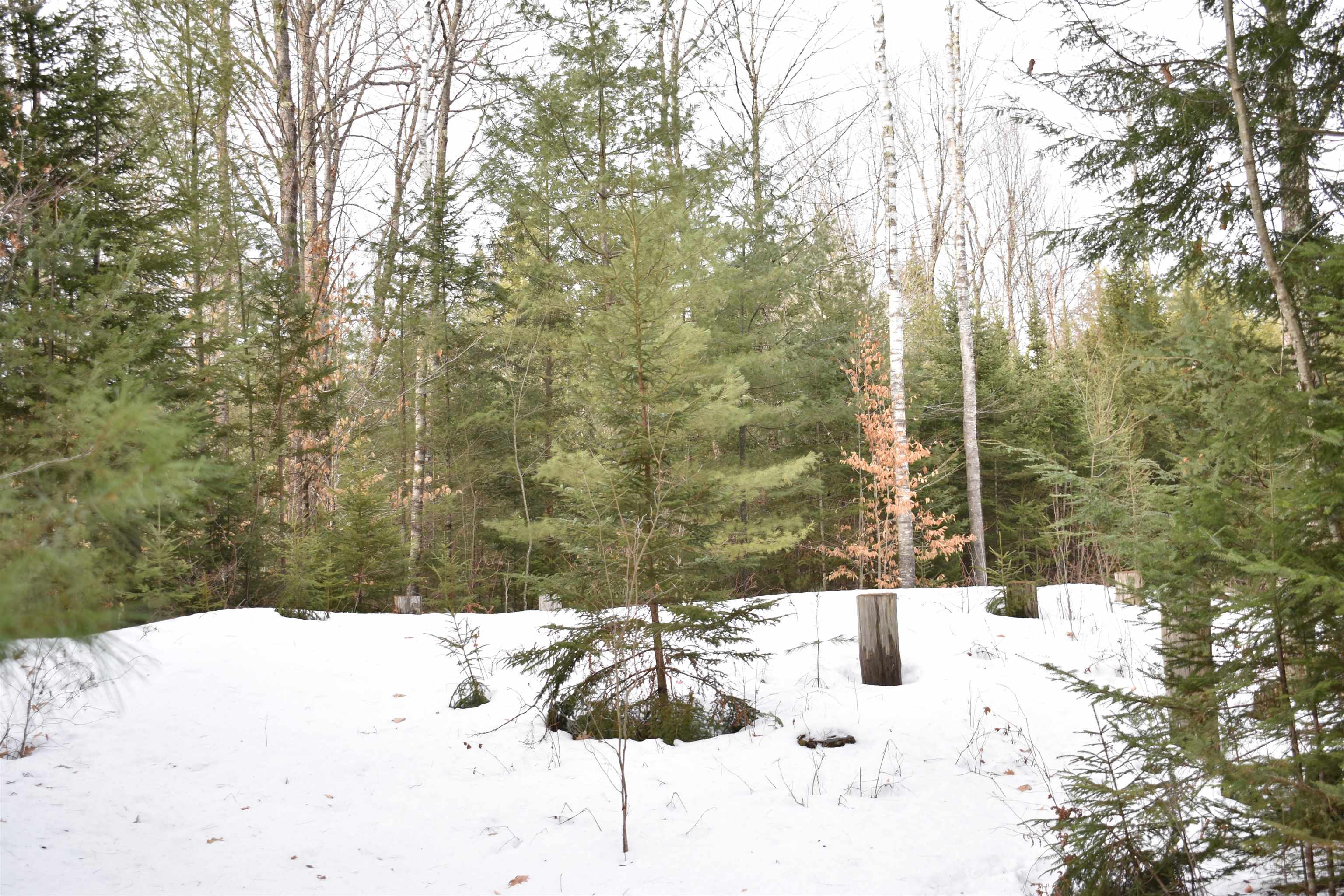 0 Stimson Road Warren, NH 03279 - Photo 4 of 17