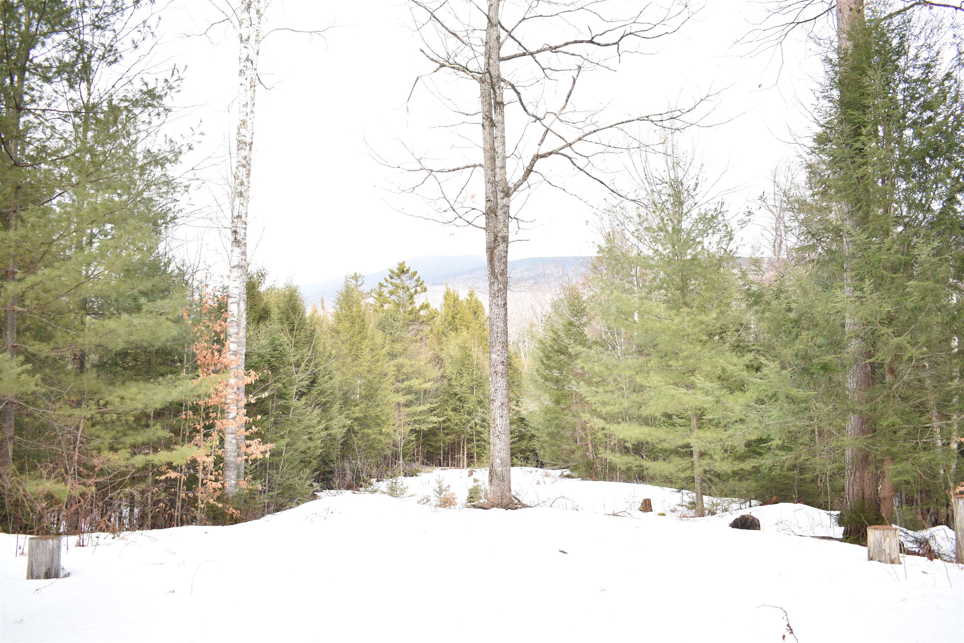 0 Stimson Road Warren, NH 03279 - Photo 5 of 17