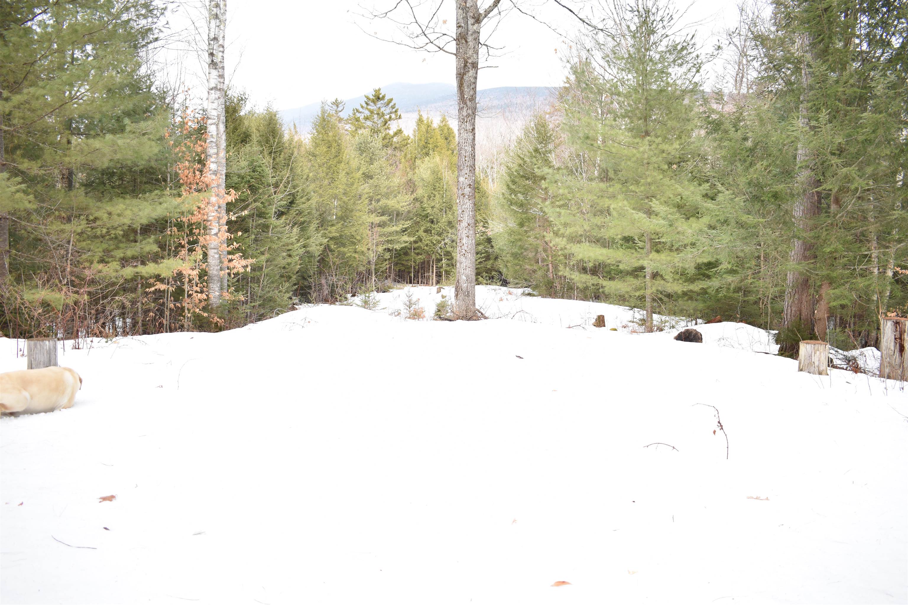 0 Stimson Road Warren, NH 03279 - Photo 6 of 17
