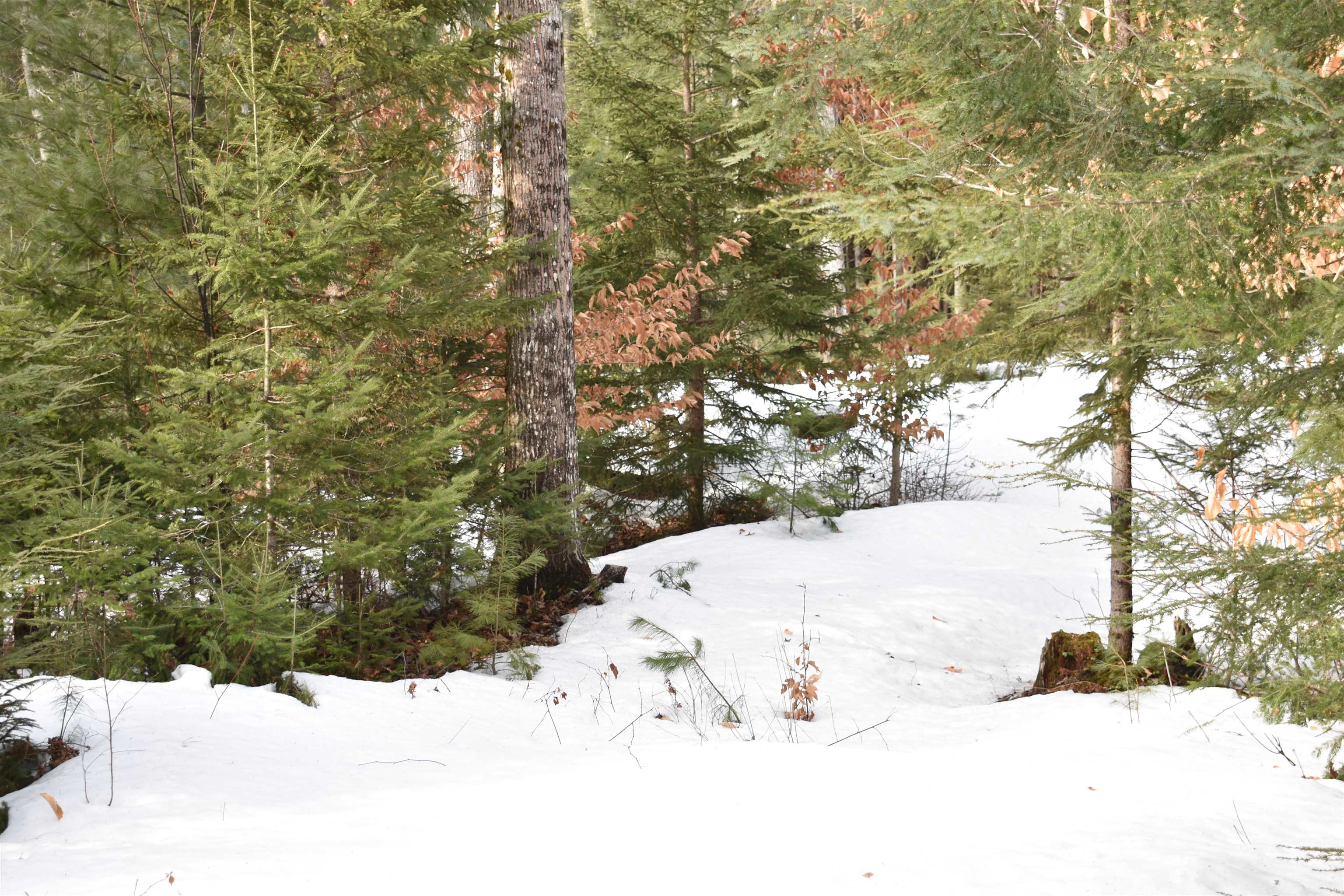 0 Stimson Road Warren, NH 03279 - Photo 8 of 17