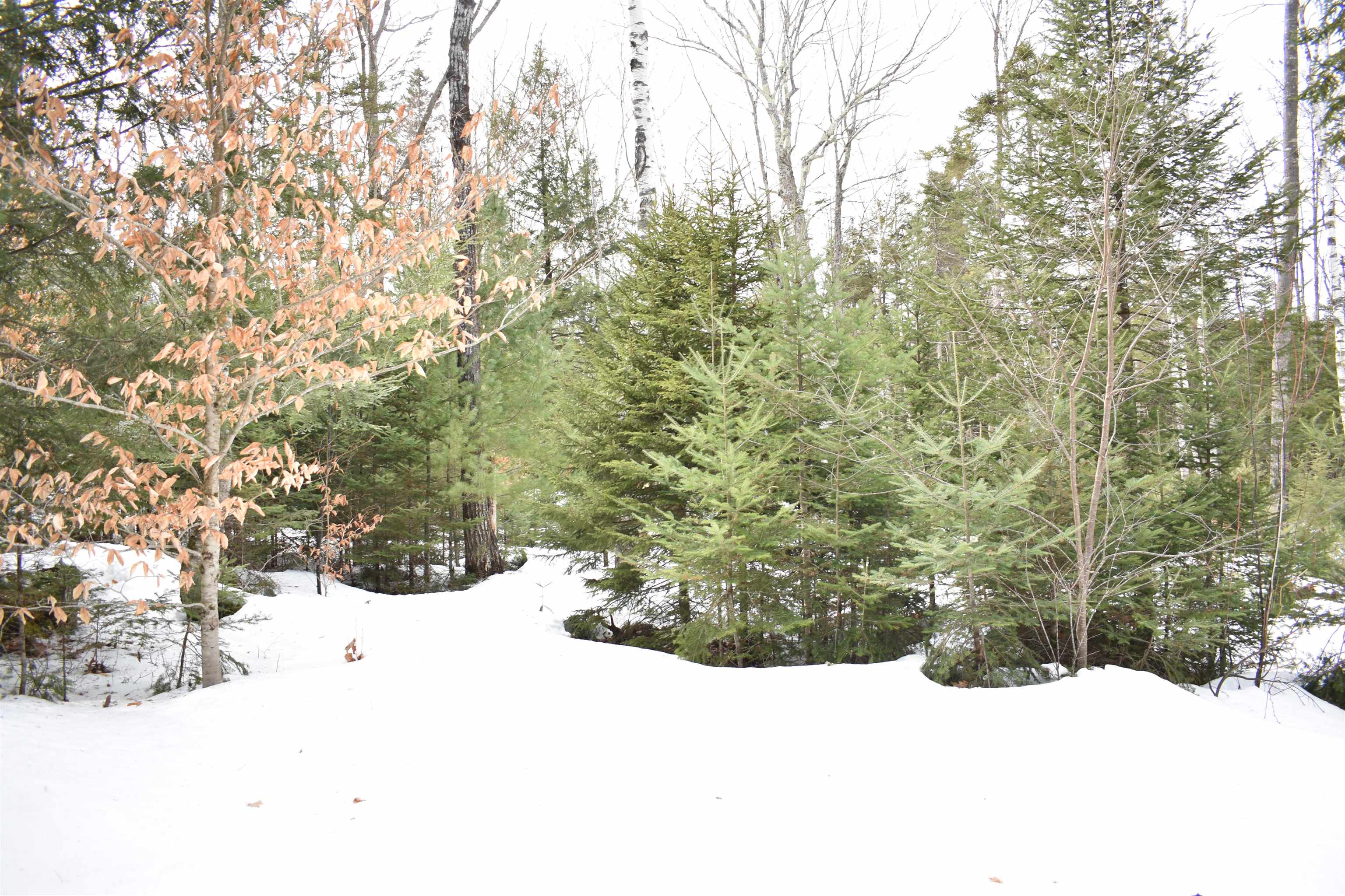 0 Stimson Road Warren, NH 03279 - Photo 9 of 17