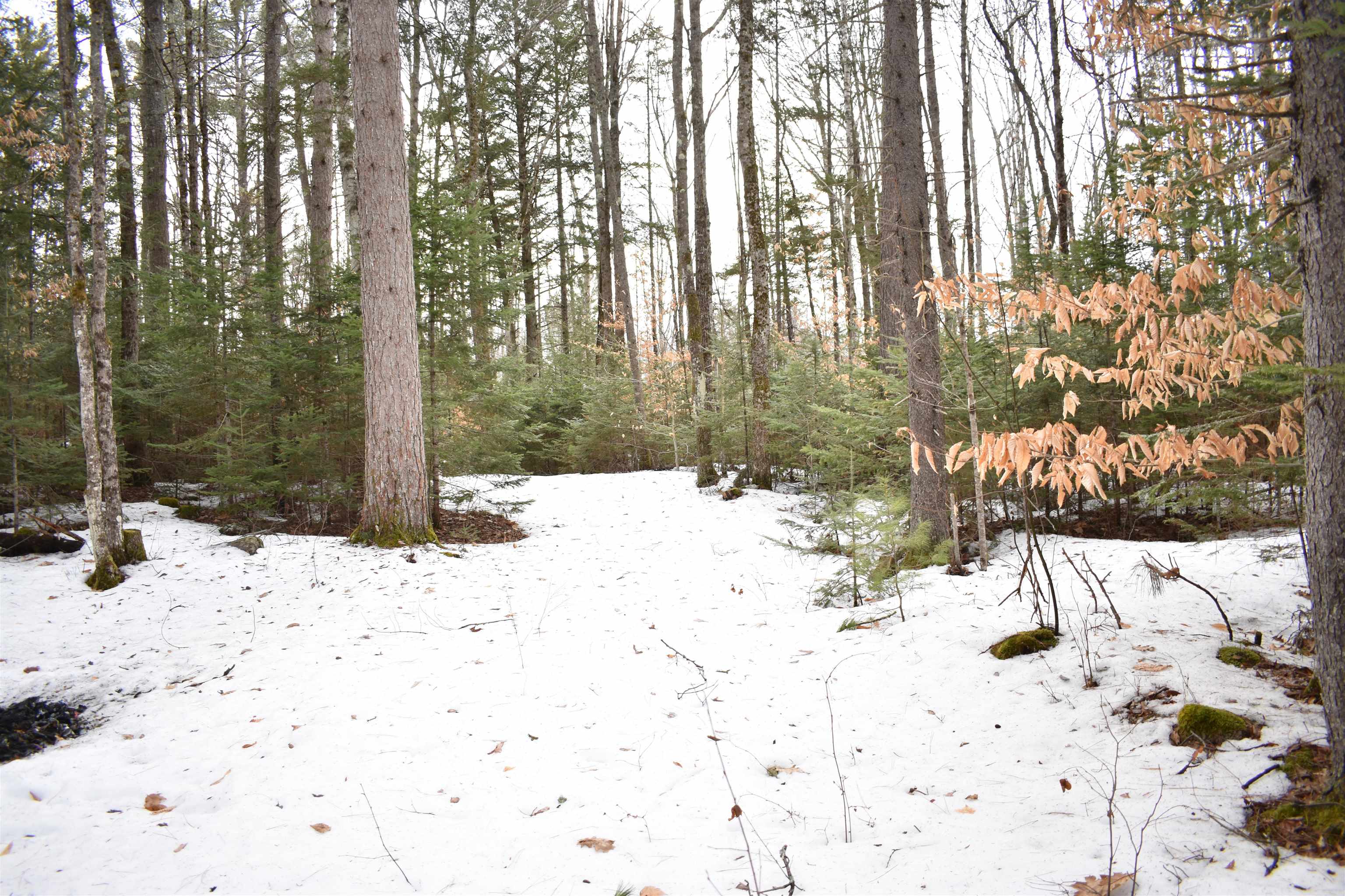 0 Stimson Road Warren, NH 03279 - Photo 10 of 17