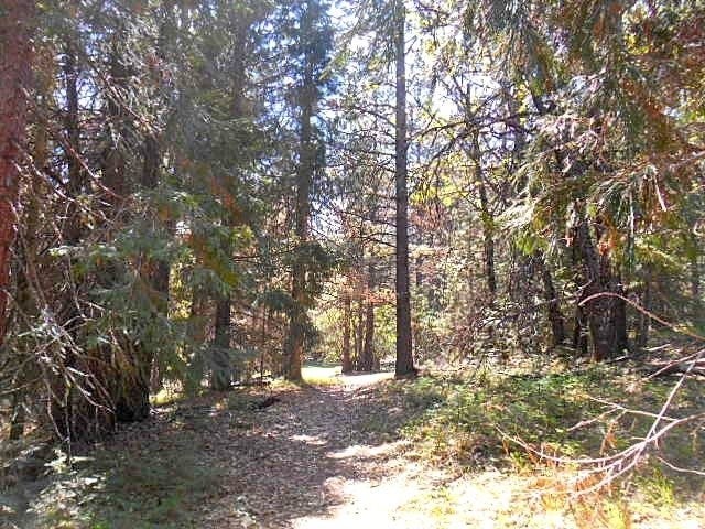 Lot 4 Off Westerly Deetz Road Rd Mount Mount Shasta, CA 96067 - Photo 2 of 11 Gallery Image 2