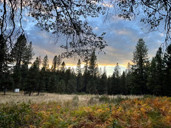 $199,000 | 0 Forest Road, McCloud, CA 96057
