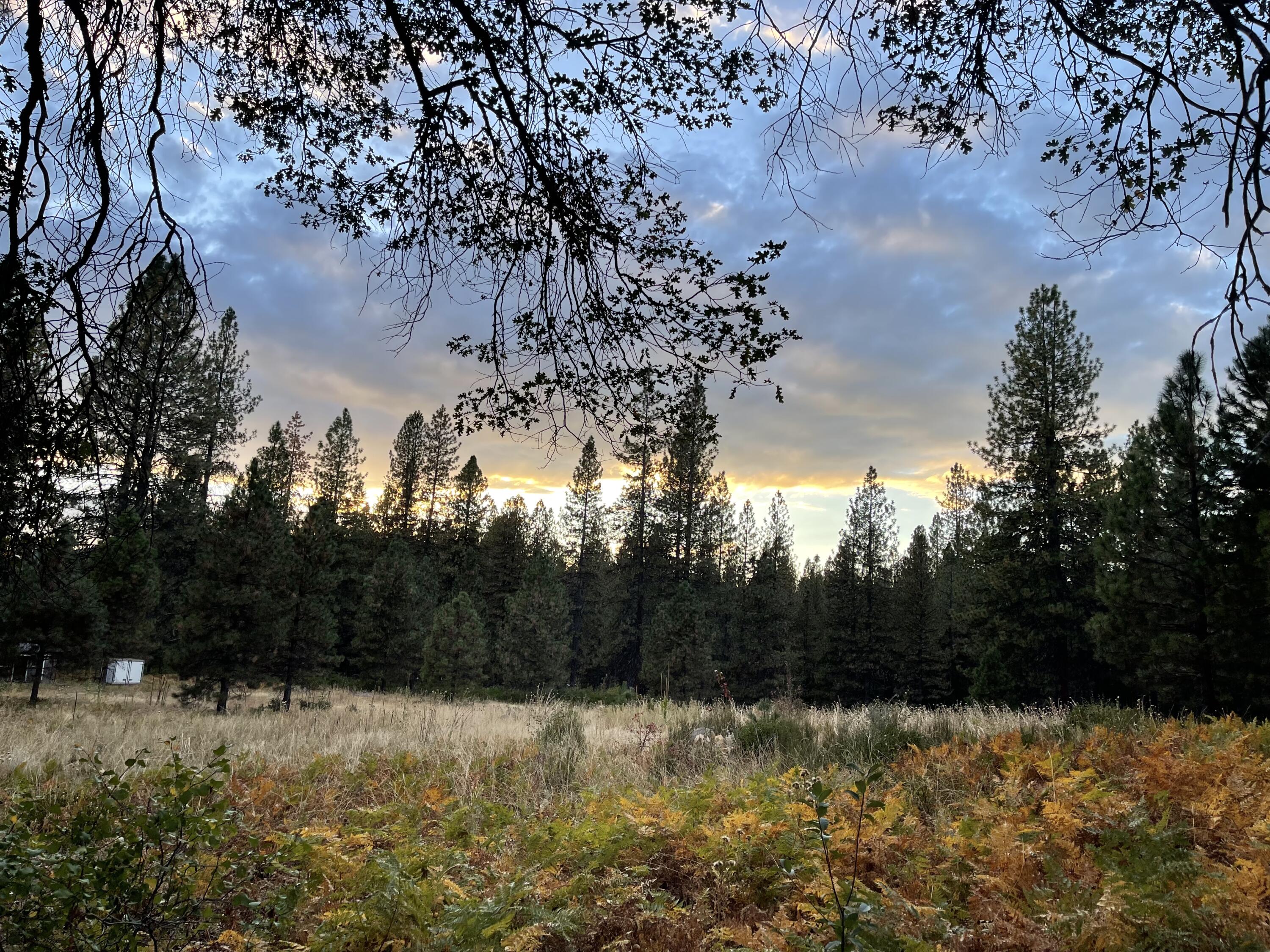 0 Forest Road McCloud, CA 96057 - Photo 1 of 11 IMG_7497