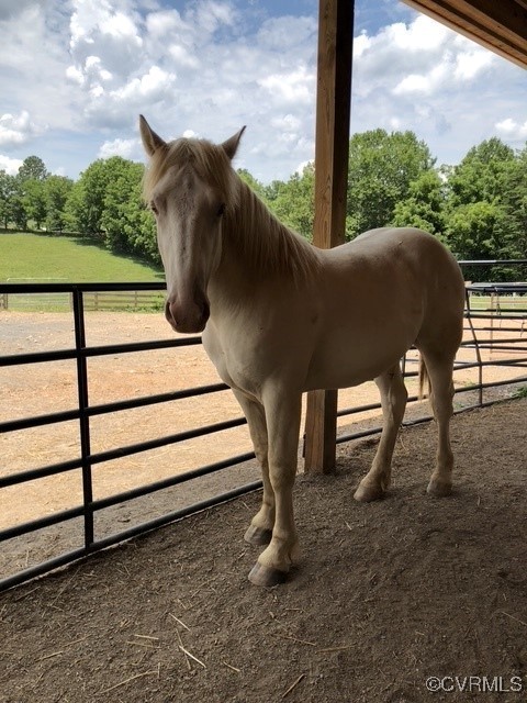 860 Allens Lake Road Dillwyn, VA 23936 - Photo 15 of 47 View of horse barn