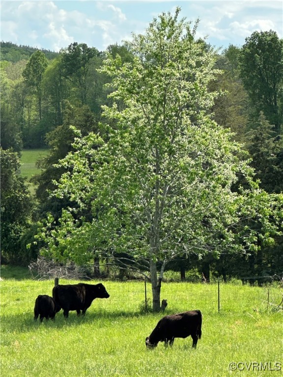 860 Allens Lake Road Dillwyn, VA 23936 - Photo 17 of 47 View of property's community with a rural view and