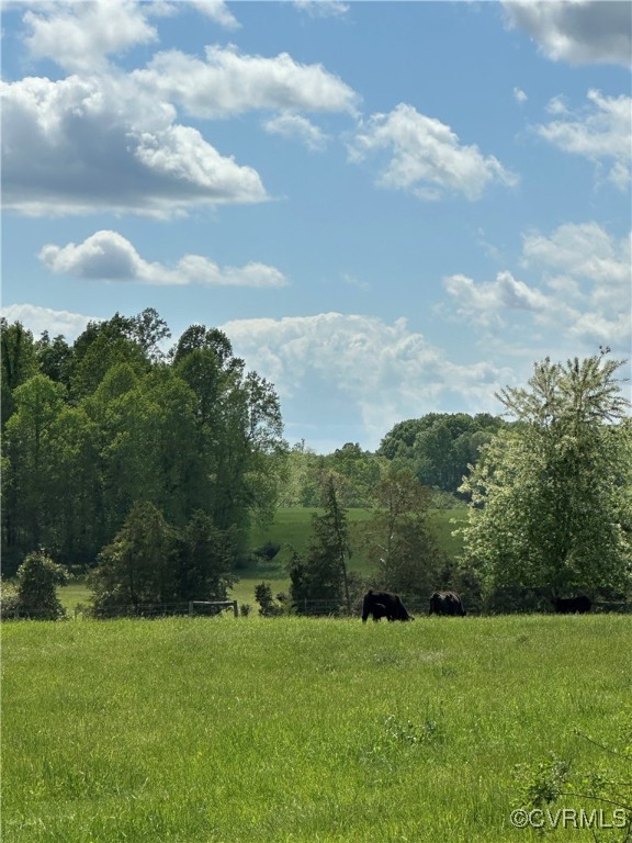 860 Allens Lake Road Dillwyn, VA 23936 - Photo 18 of 47 View of local wilderness with a rural view