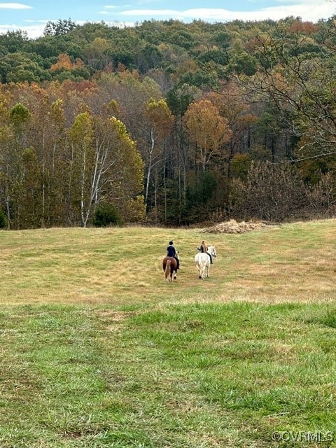 860 Allens Lake Road Dillwyn, VA 23936 - Photo 19 of 47 View of property's community featuring a rural vie