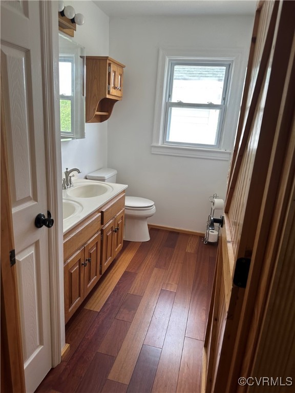 860 Allens Lake Road Dillwyn, VA 23936 - Photo 38 of 47 Bathroom with wood finished floors, toilet, double