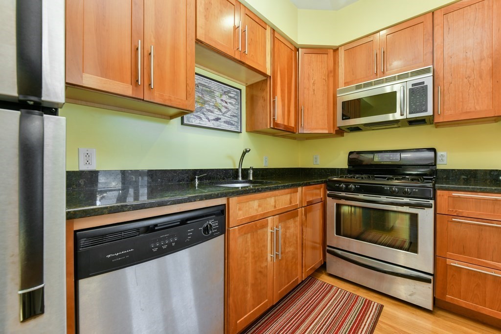 6 Alfred Street, Unit 3 Boston, MA 02130 - Photo 6 of 17 Gallery Image 6