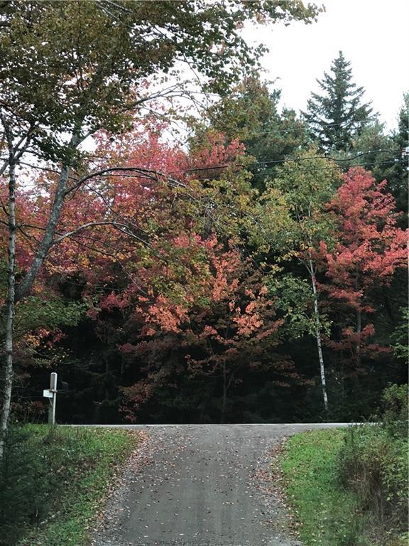 0 Autumn Marsh Road East Tenants Harbor, ME 04860 - Photo 4 of 12 Autumn Marsh Lane looking uphill...