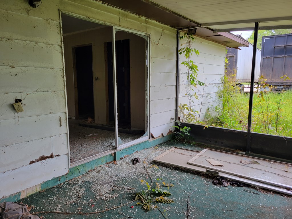 310 East Morris Street Samson, AL 36477 - Photo 6 of 12