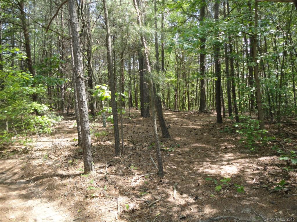 4856 Slanting Bridge Road, Unit 40 Sherrills Ford, NC 28673 - Photo 1 of 14 Gallery Image 1