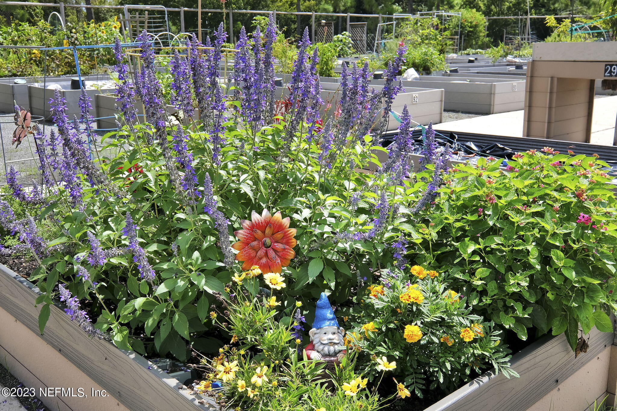 100 Tree Side Lane Ponte Vedra, FL 32081 - Photo 115 of 118 a view of a garden with flowers