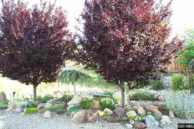 4380 Great Falls Loop Reno, NV 89511 - Photo 4 of 5 Photo 4