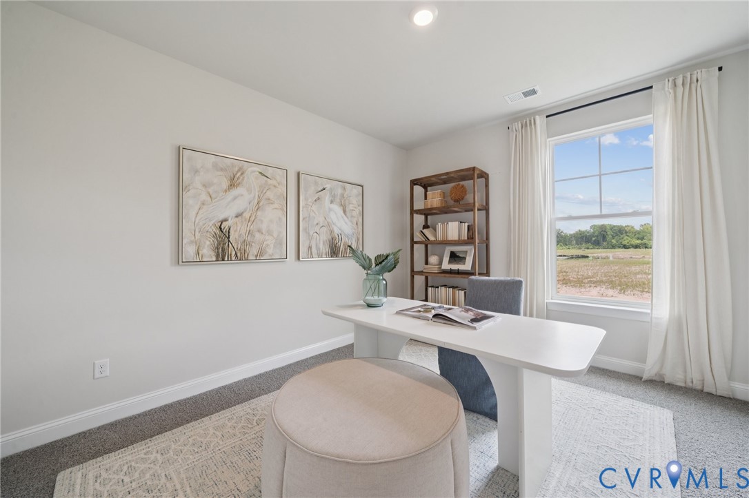 16807 Barmer Road Chesterfield, VA 23832 - Photo 22 of 45