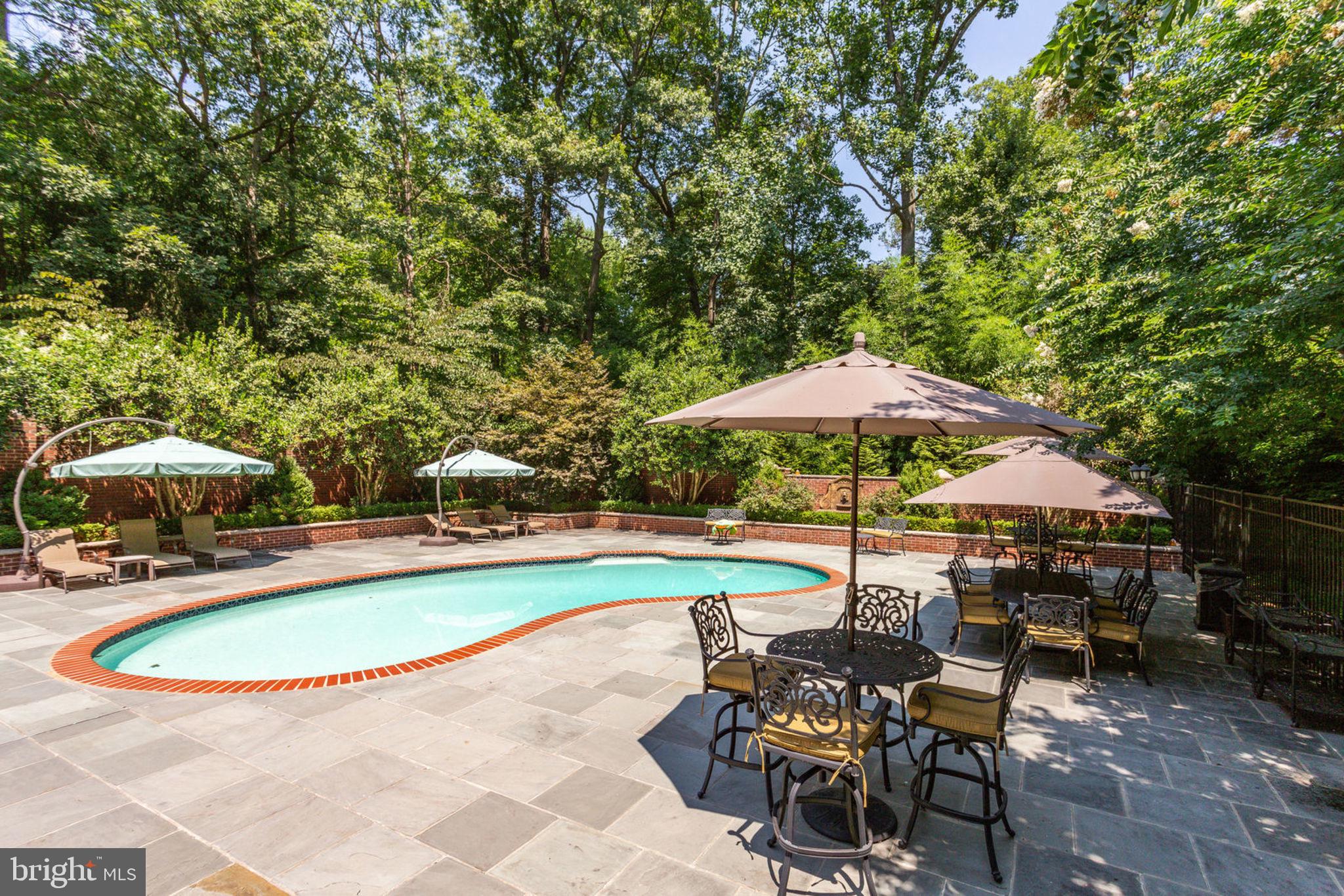 533 Clear Spring Road Great Falls, VA 22066 - Photo 3 of 63 Vacation at Home!