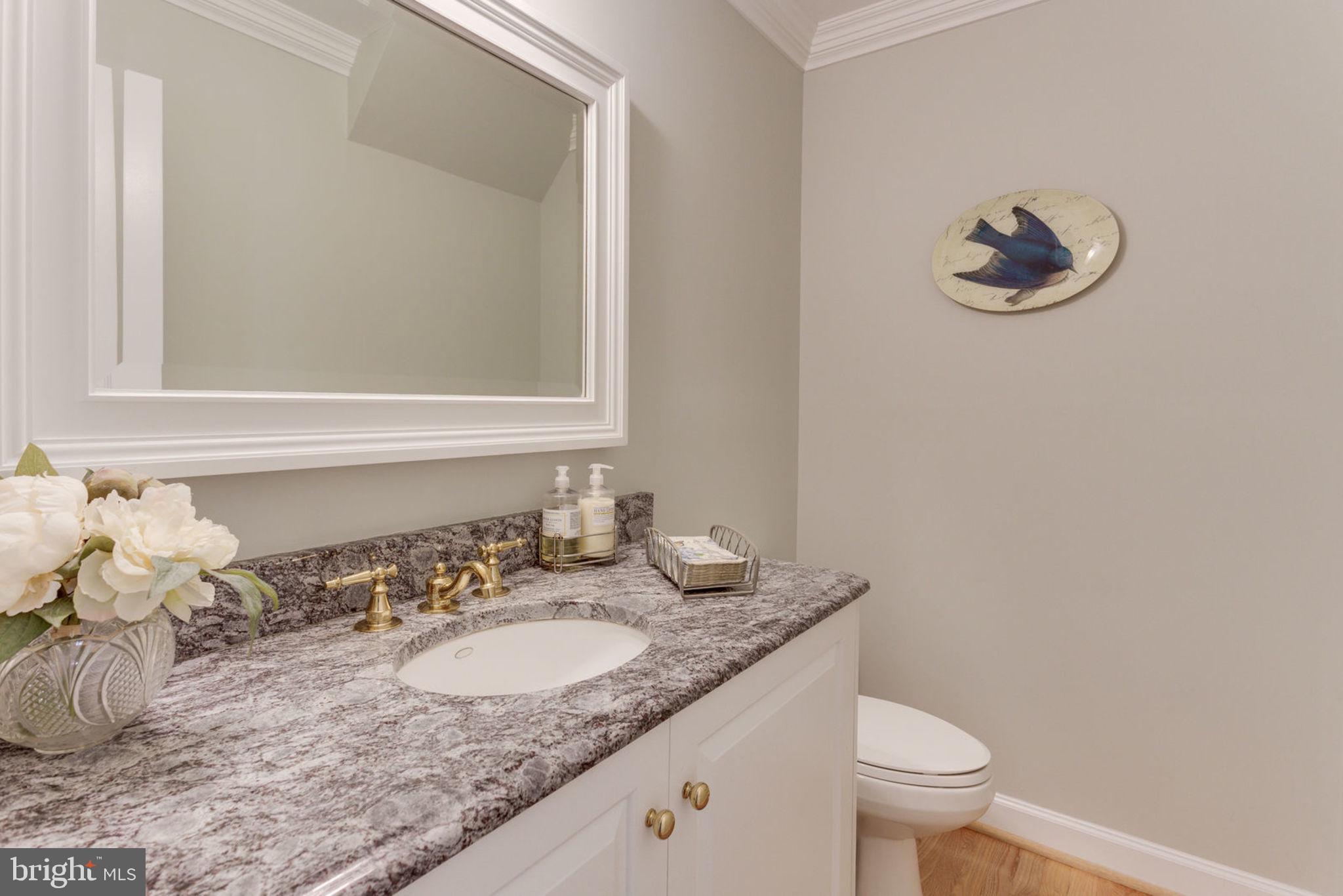 533 Clear Spring Road Great Falls, VA 22066 - Photo 24 of 63 Renovated Powder Room