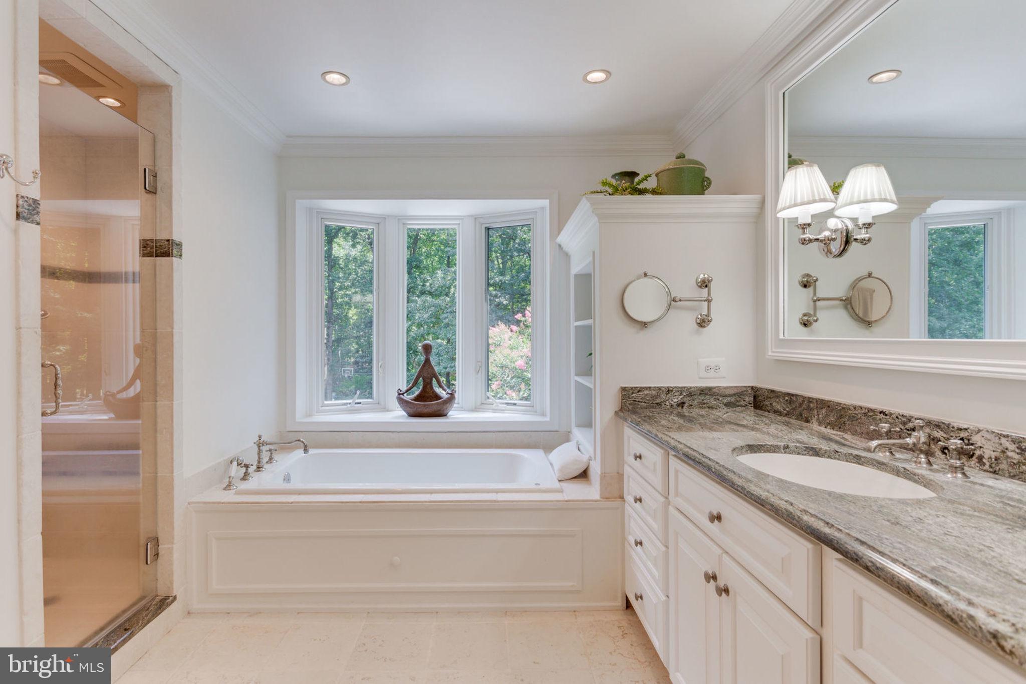533 Clear Spring Road Great Falls, VA 22066 - Photo 28 of 63 Renovated Master Bath