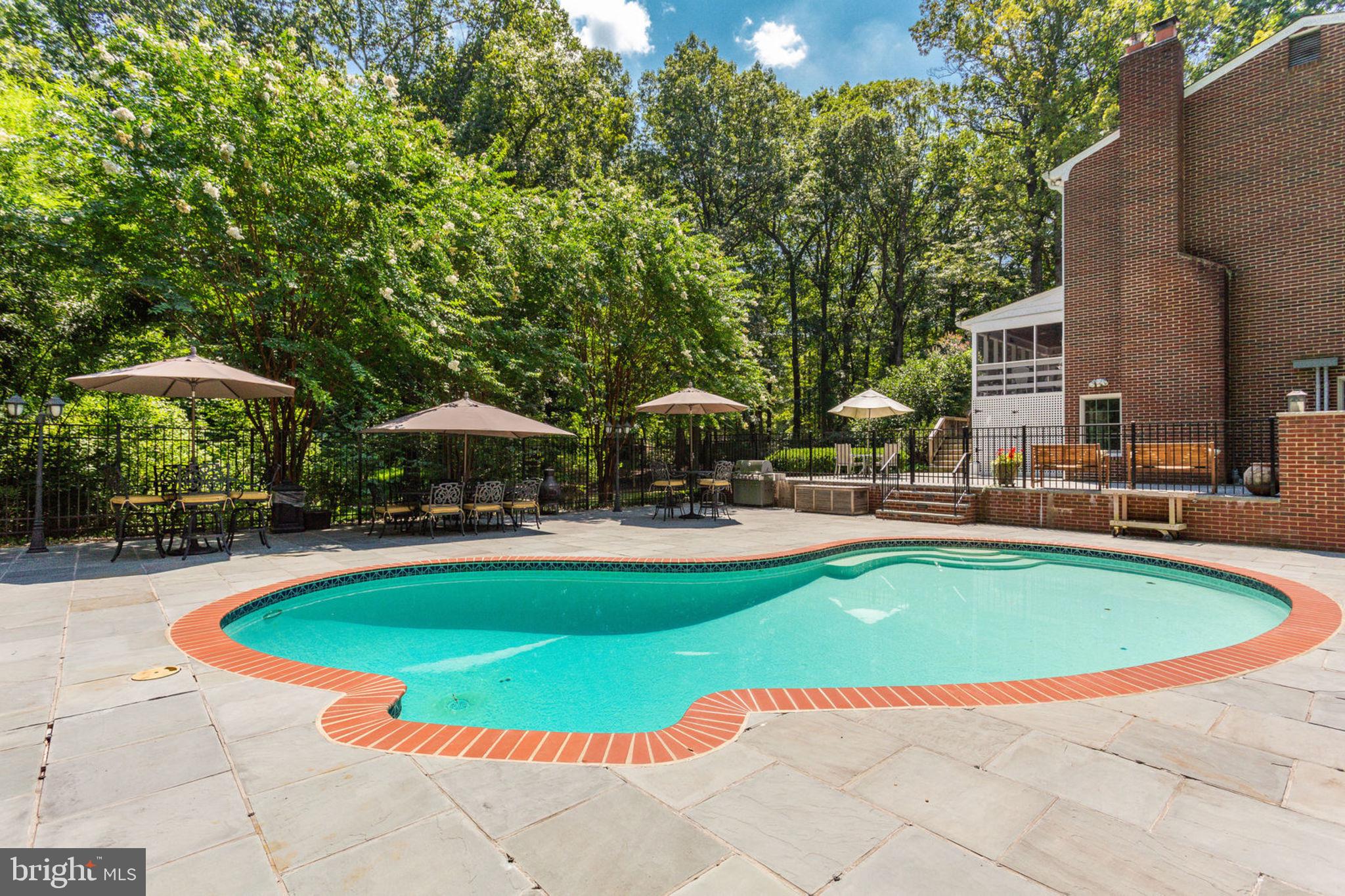 533 Clear Spring Road Great Falls, VA 22066 - Photo 4 of 63 Extensive flagstone patios
