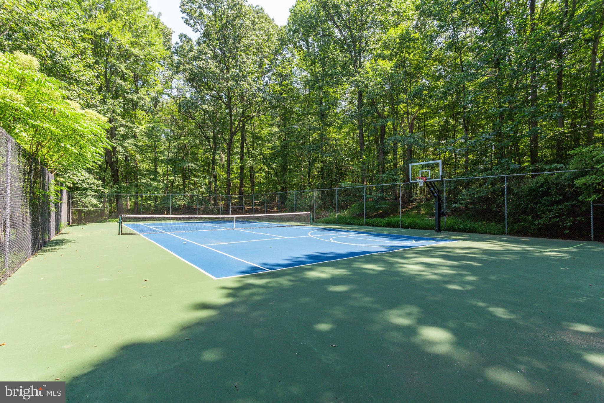 533 Clear Spring Road Great Falls, VA 22066 - Photo 5 of 63 Enjoy the tennis/sport court