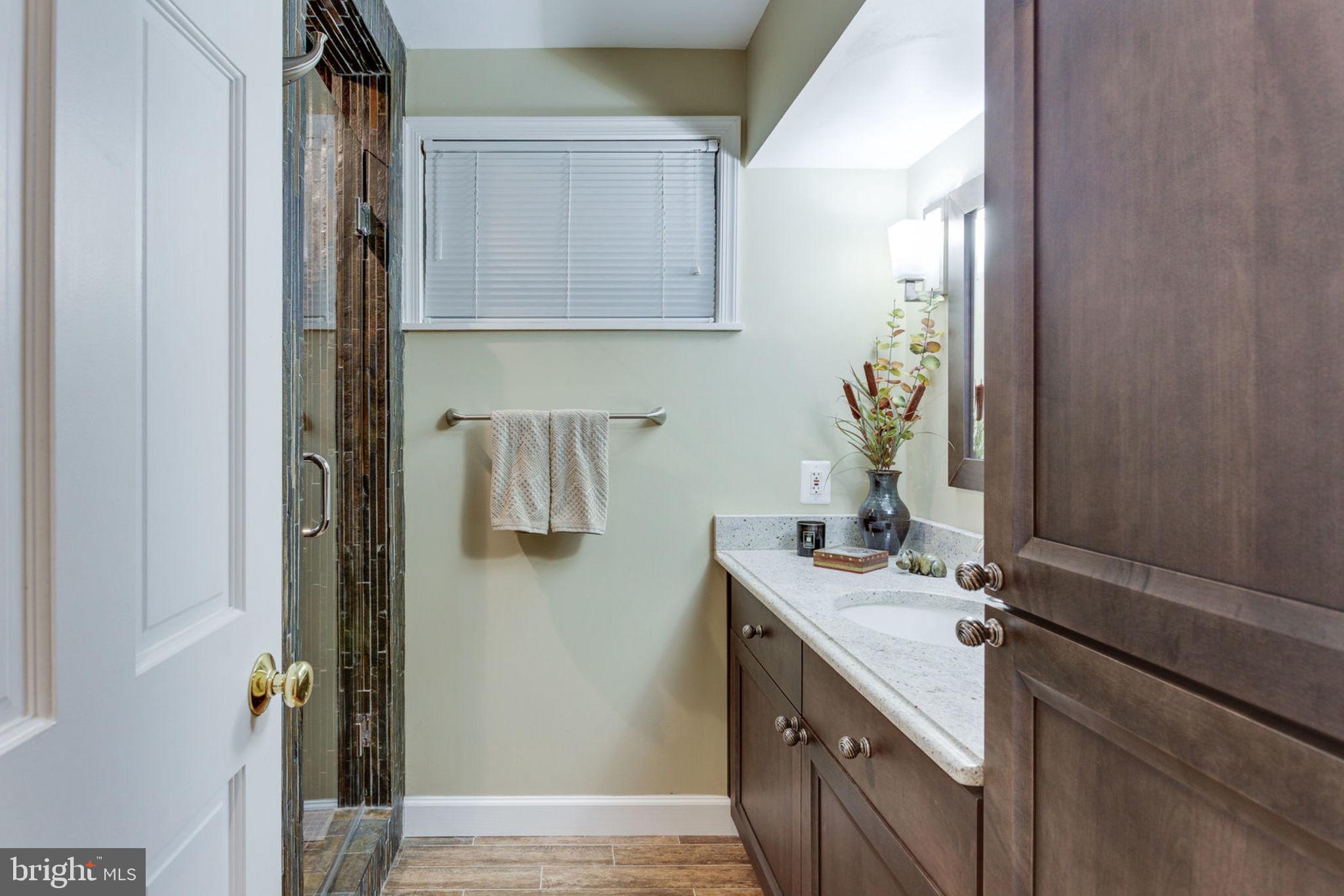 533 Clear Spring Road Great Falls, VA 22066 - Photo 42 of 63 Renovated Full Bath in Lower Level