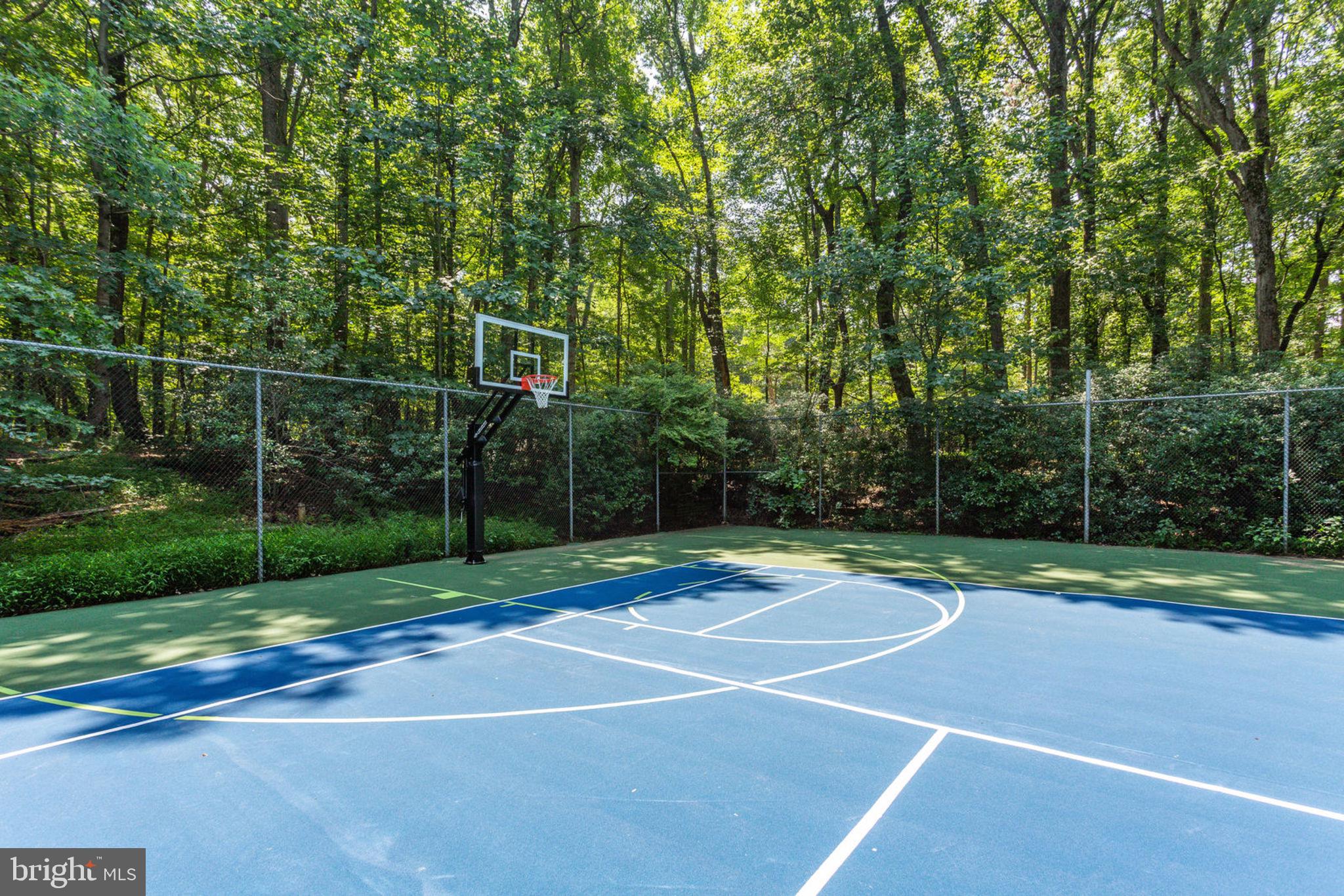 533 Clear Spring Road Great Falls, VA 22066 - Photo 46 of 63 Sport Court