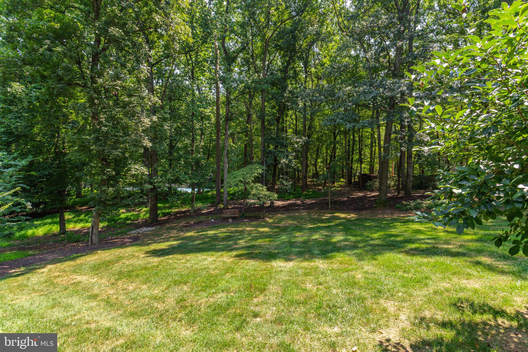 533 Clear Spring Road Great Falls, VA 22066 - Photo 47 of 63 Lush Lawn for games