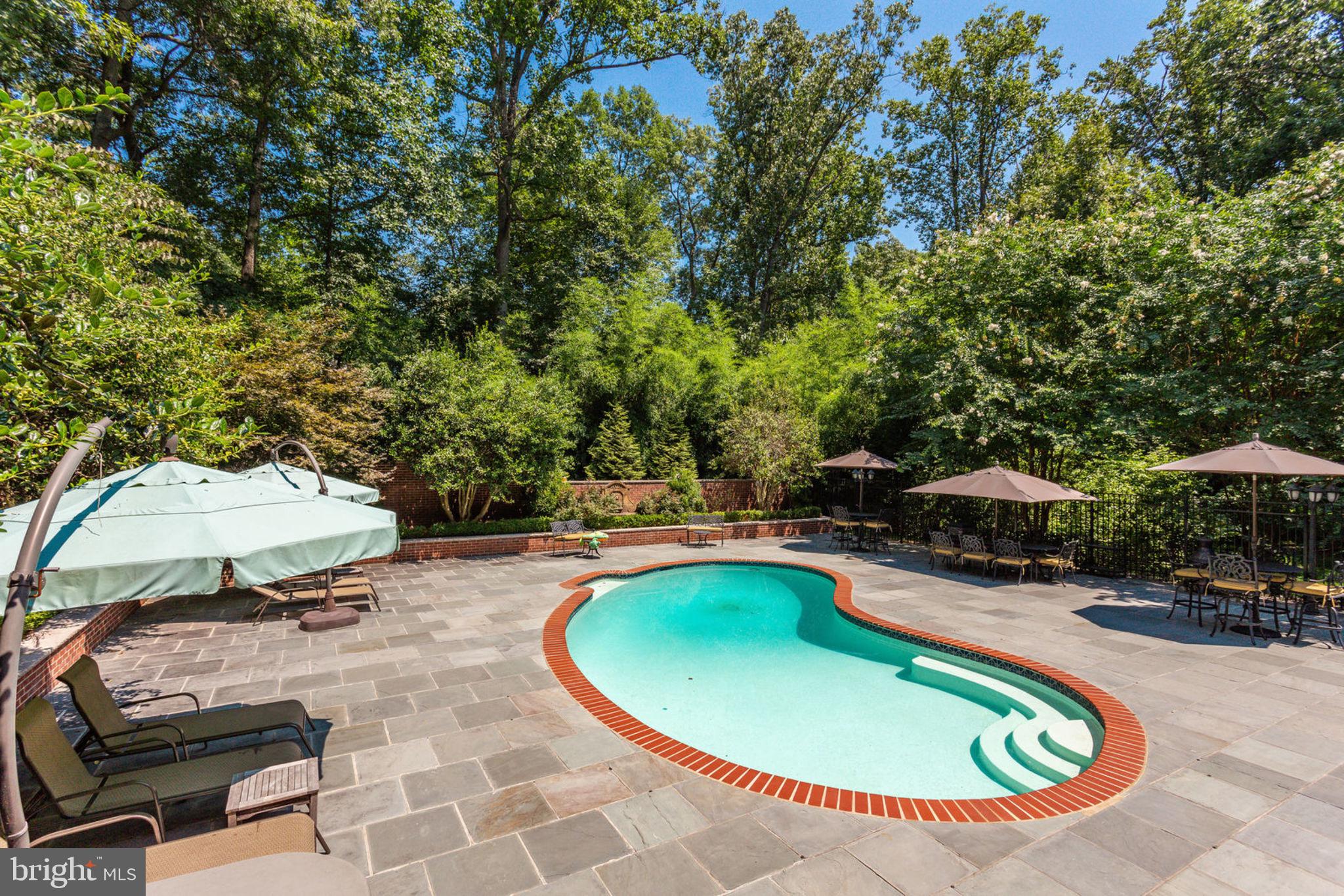 533 Clear Spring Road Great Falls, VA 22066 - Photo 51 of 63 What an Oasis!