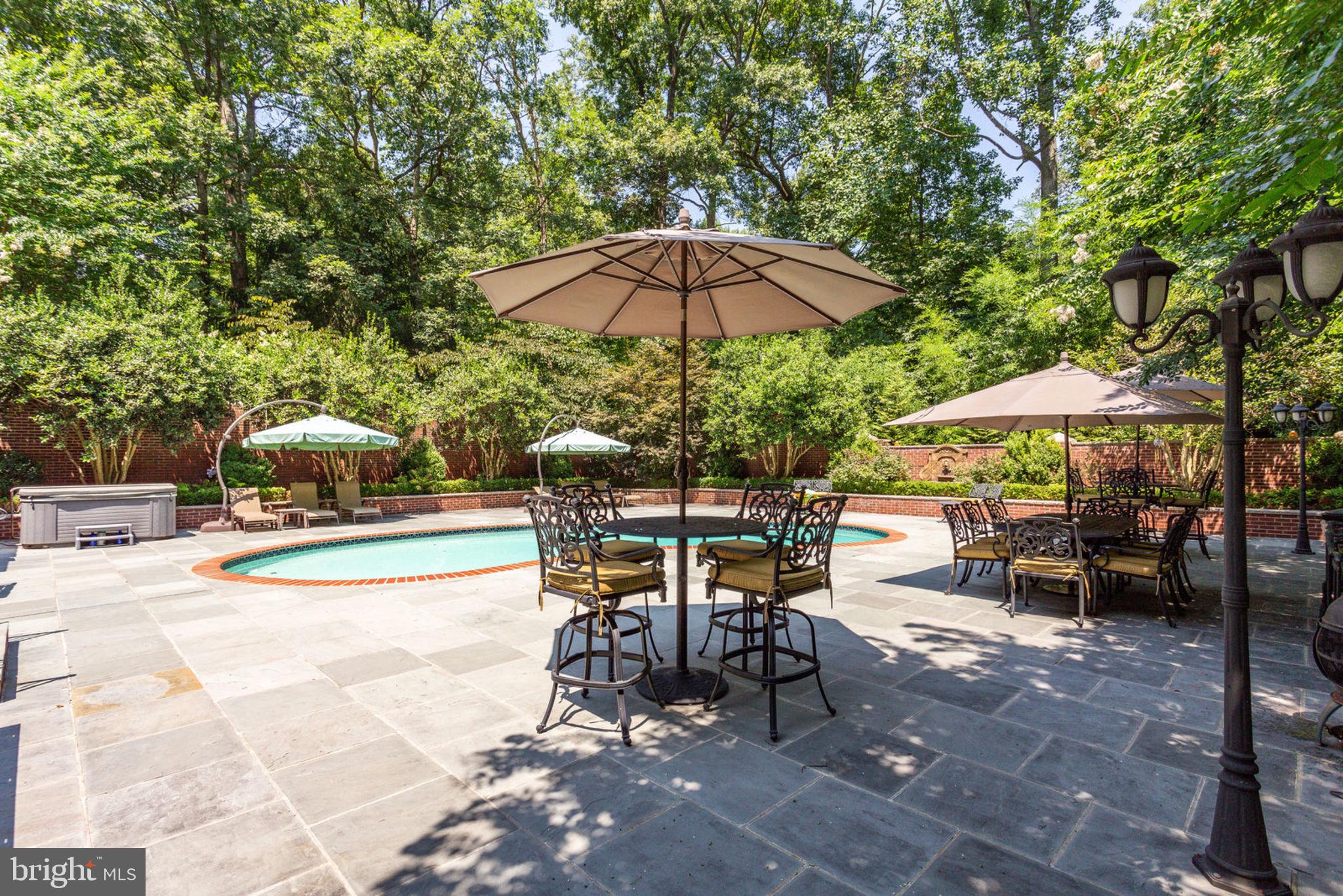 533 Clear Spring Road Great Falls, VA 22066 - Photo 53 of 63 Free Standing Hot Tub
