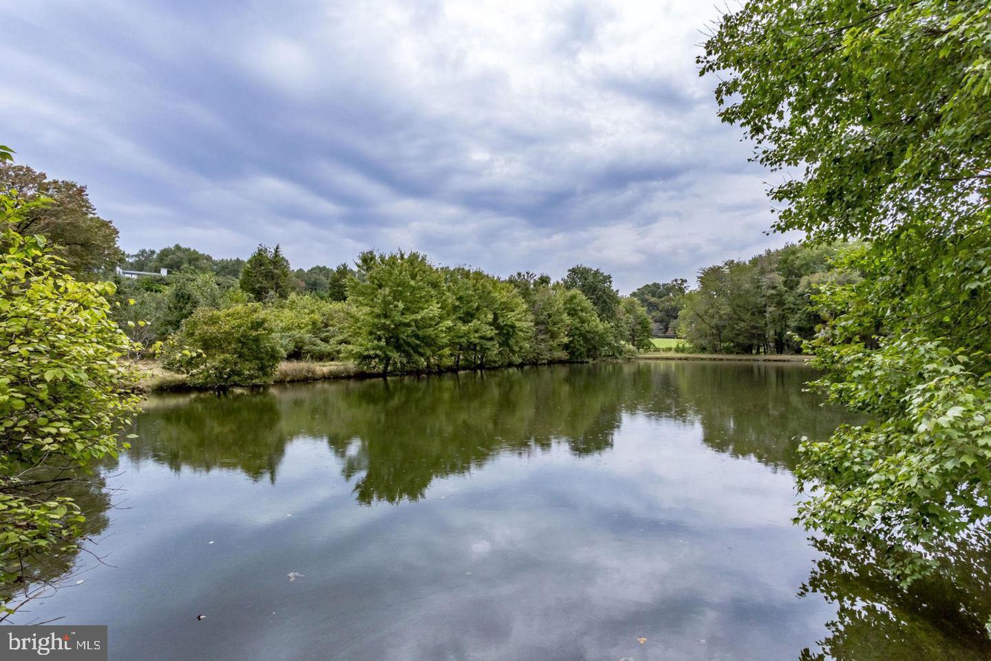 533 Clear Spring Road Great Falls, VA 22066 - Photo 58 of 63 Community Pond