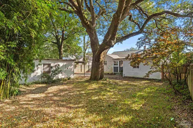 a view of a yard with a tree