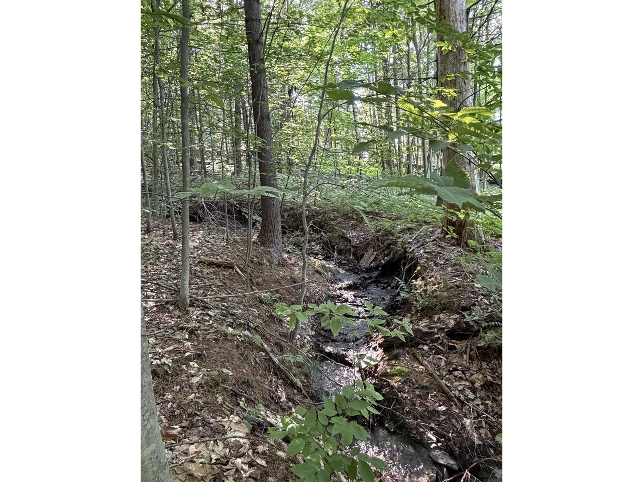 0 Old Carriage Road Waitsfield, VT 05673 - Photo 3 of 24