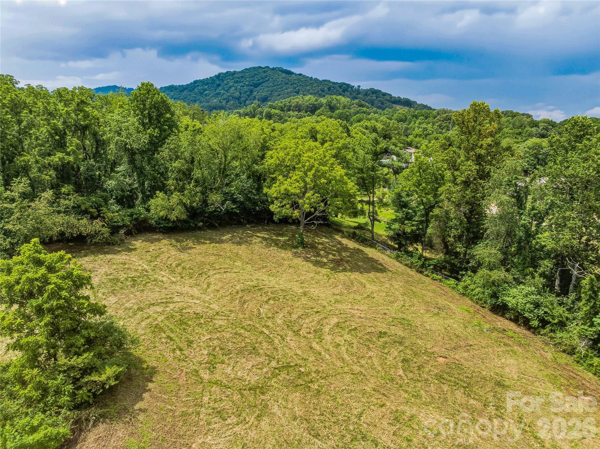 99999 Daniel Road, Unit 3 Asheville, NC 28806 - Photo 13 of 22