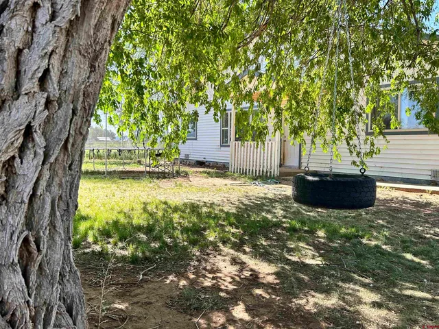 a view of a backyard with a small house and a large tree