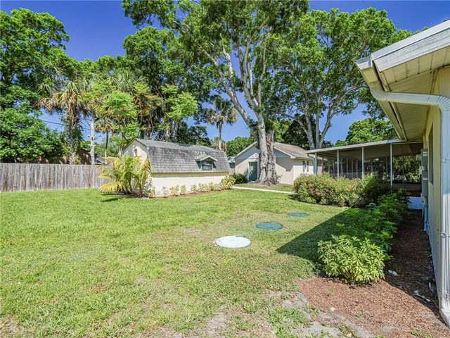 a view of a backyard with plants and a large tree