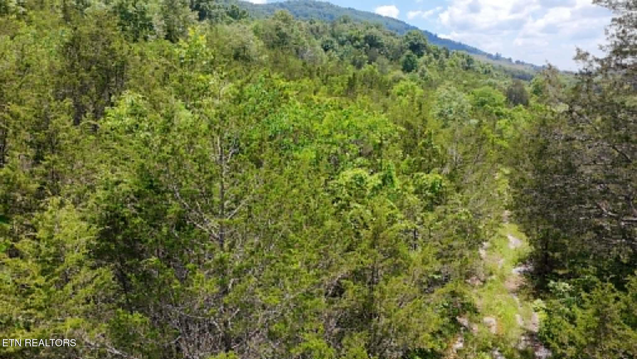 0 Mulberry Gap Road Tazewell, TN 37879 - Photo 3 of 5 1ac6d682-945f-42bc-92a0-ed0cf2c27c98