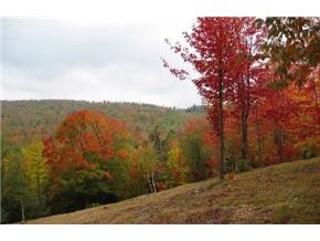0 Kew Vasseur Road Fayston, VT 05673 - Photo 3 of 4