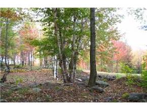 0 Kew Vasseur Road Fayston, VT 05673 - Photo 4 of 4