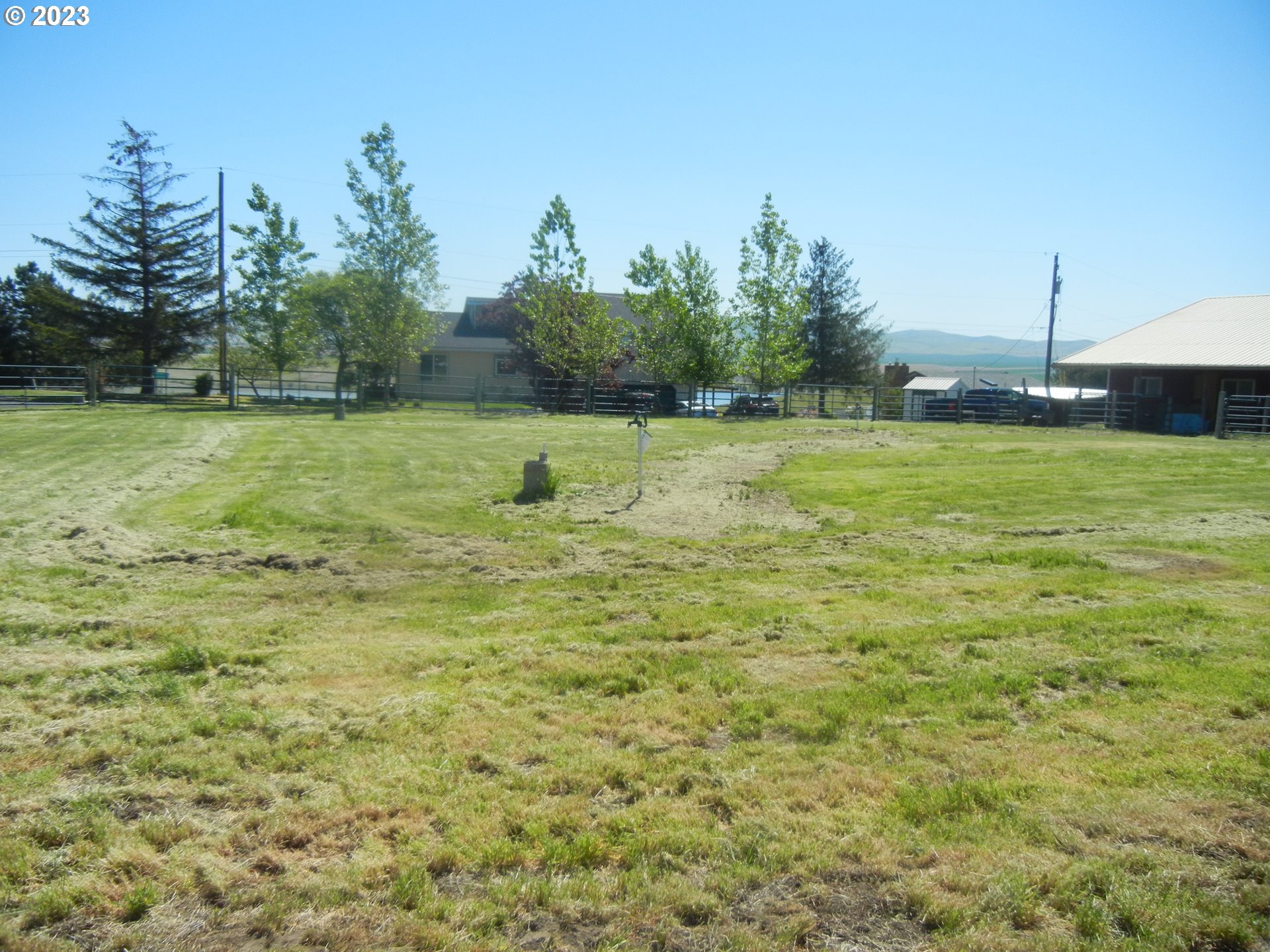 43776 Buckboard Trail Road Pendleton, OR 97801 - Photo 16 of 22 a view of a field with an trees